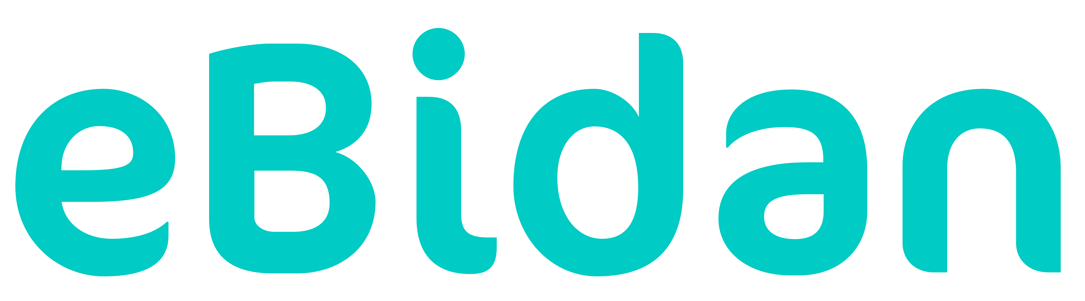 eBidan Logo